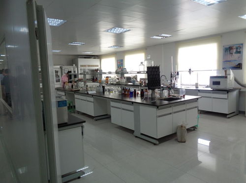 筑牢餐飲安全防線 飲食服務(wù)集團食品安全檢查月正式啟動